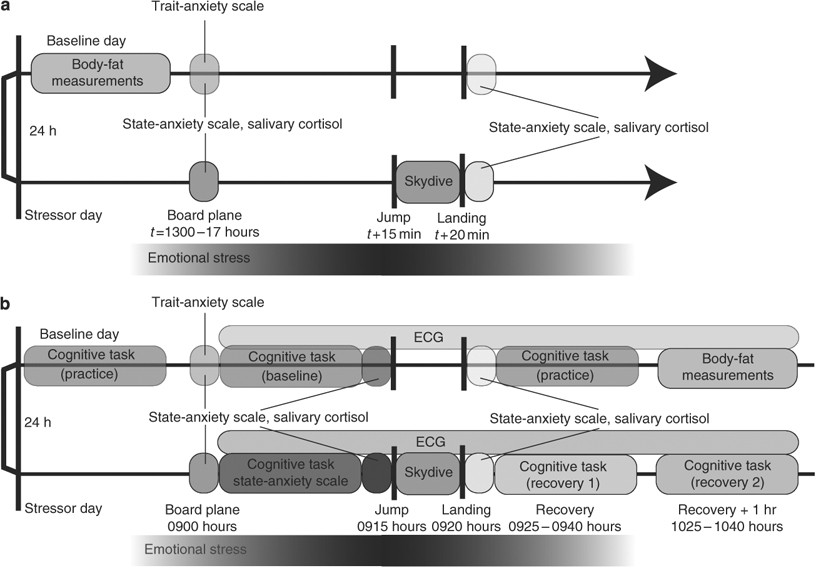 Baseline Body Fat Scale