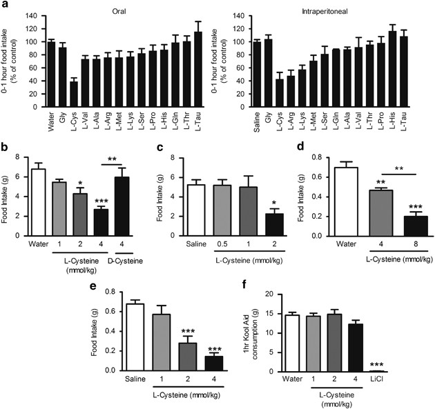 l-cysteine suppresses ghrelin and reduces appetite in rodents and humans |  International Journal of Obesity