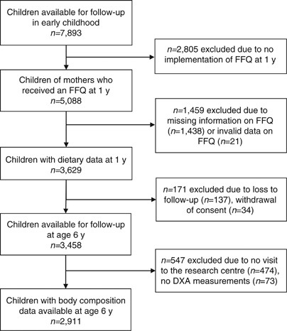 Protein Intake In Early Childhood And Body Composition At The Age