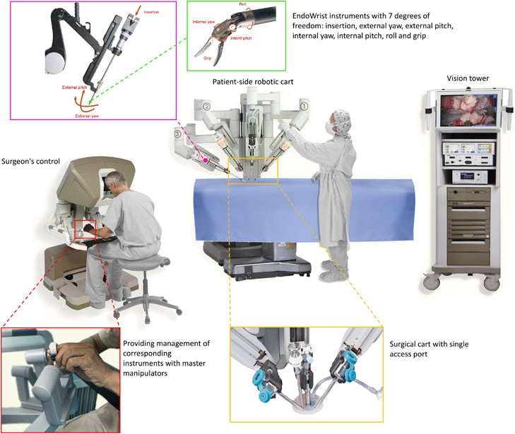 Robotic surgical