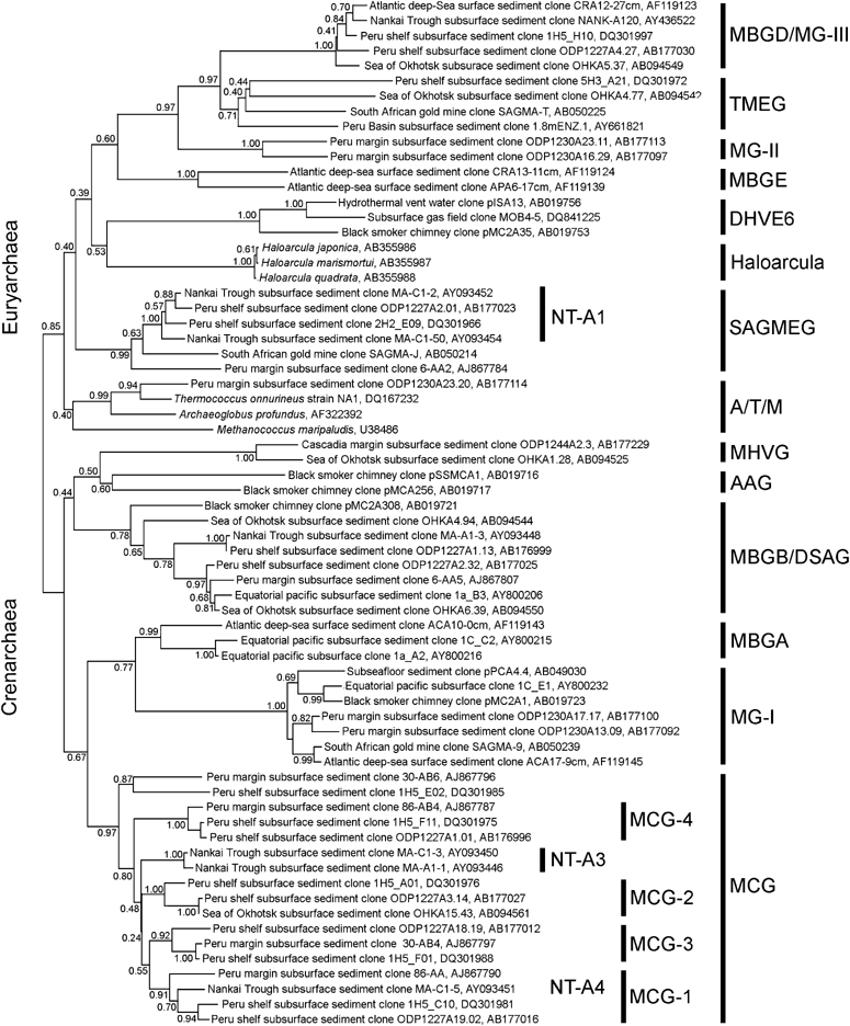 Uncultured Archaea In Deep Marine Subsurface Sediments Have We