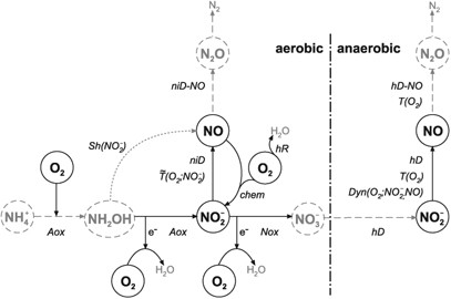 Nitric oxide NO, Nitrogen dioxide NO2 and Nitrous oxide N2O
