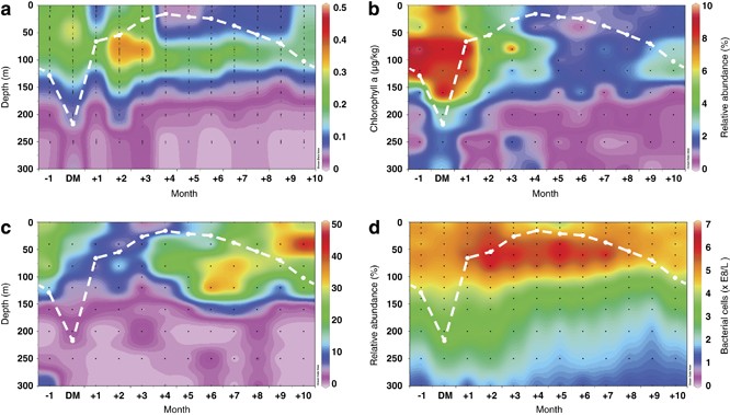 Phytoplankton distribution patterns in the northwestern Sargasso Sea  revealed by small subunit rRNA genes from plastids | The ISME Journal
