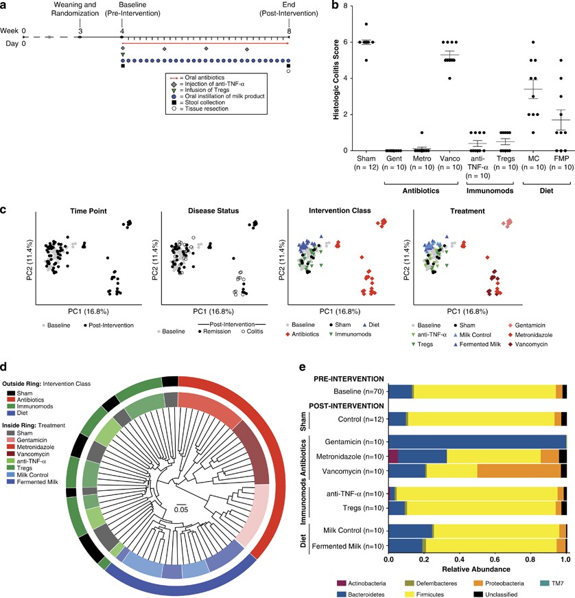 Gut Microbiome Composition And Function In Experimental - 