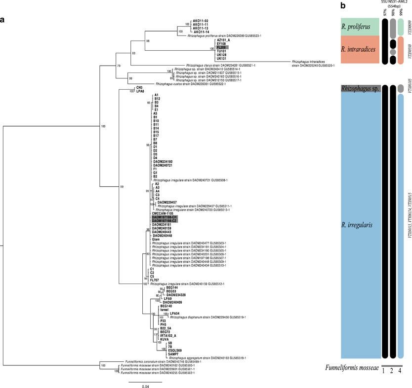 A Population Genomics Approach Shows Widespread Geographical - 