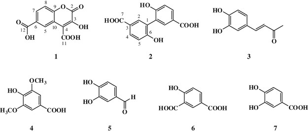 Phenolic compounds from the fungus Inonotus obliquus and their antioxidant  properties | The Journal of Antibiotics