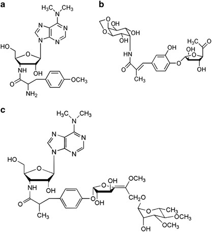 Characterization of the biosynthetic gene cluster (ata) for the A201A  aminonucleoside antibiotic from Saccharothrix mutabilis subsp. capreolus |  The Journal of Antibiotics