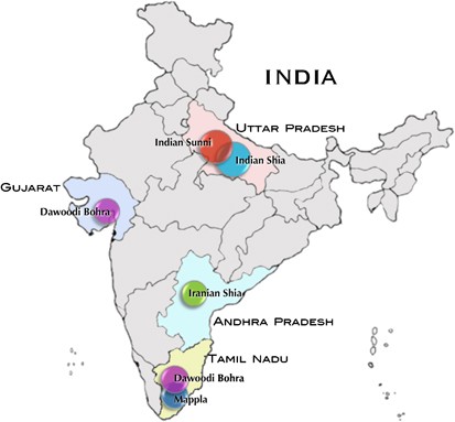 ethnic mix in india