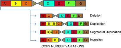 Copy number variation