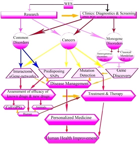 Floating-Harbor syndrome: MedlinePlus Genetics