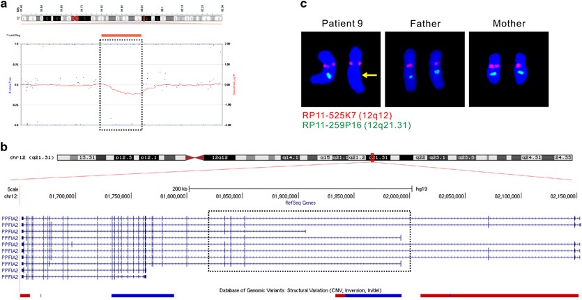 High frequency of copy number imbalances in Rubinstein–Taybi