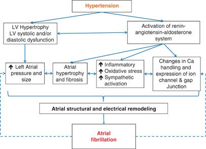 does high blood pressure cause atrial fibrillation)