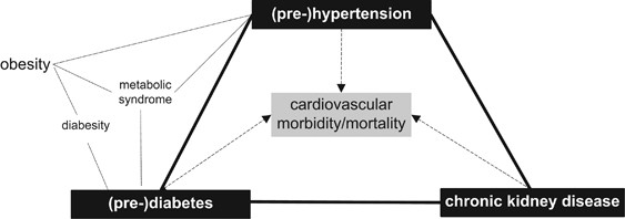 kidney disease diabetes and hypertension