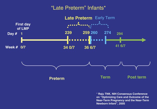 Late preterm infants: severe hyperbilirubinemia and postnatal glucose  homeostasis | Journal of Perinatology