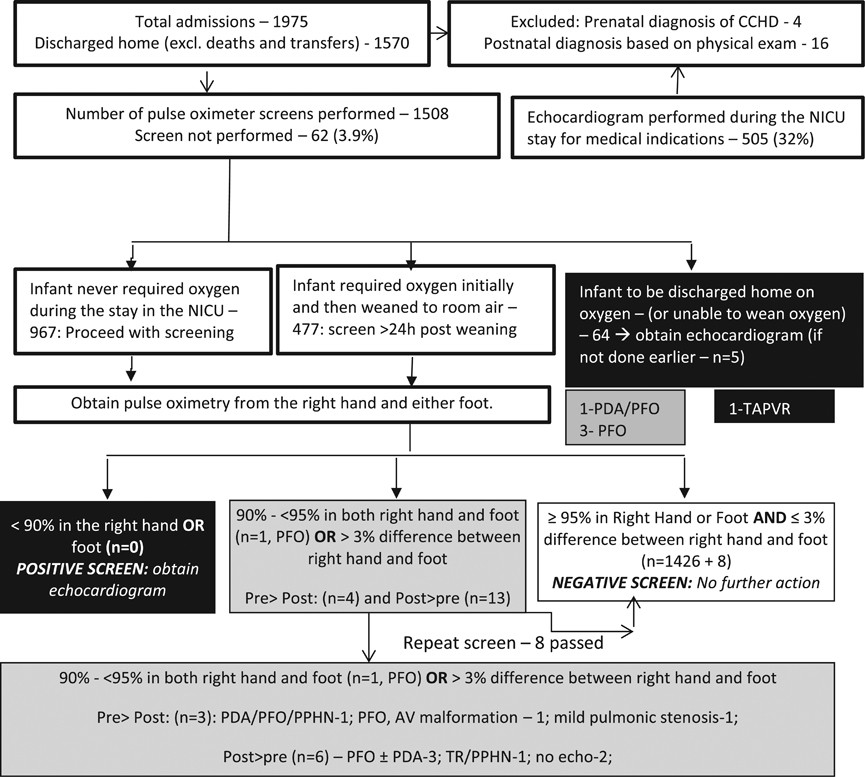 Cchd Screening Chart