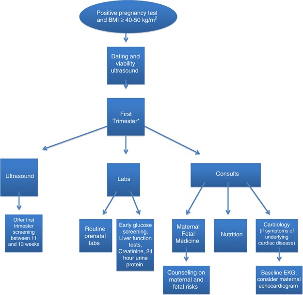 Super Obesity In Pregnancy Difficulties In Clinical Management