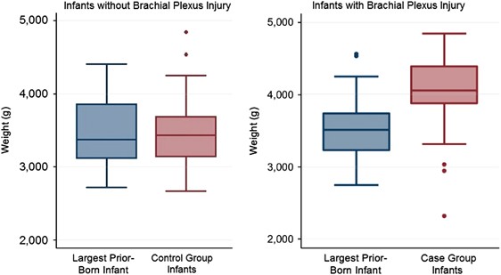 Brachial Plexus Injuries Chart