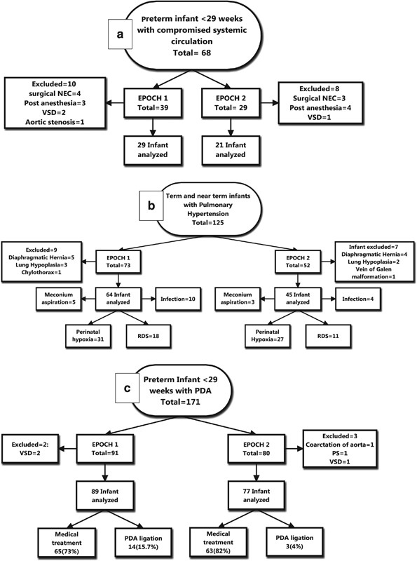 Frontiers  Hemodynamic and Metabolic Assessment of Neonates With