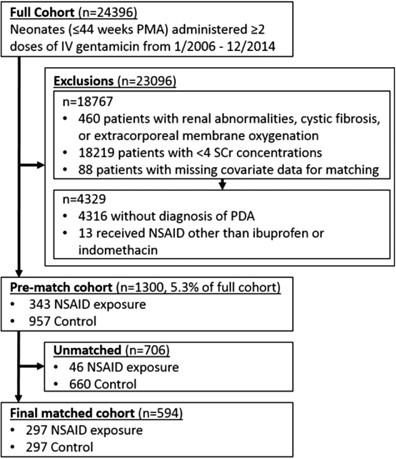 Nsaid Conversion Chart