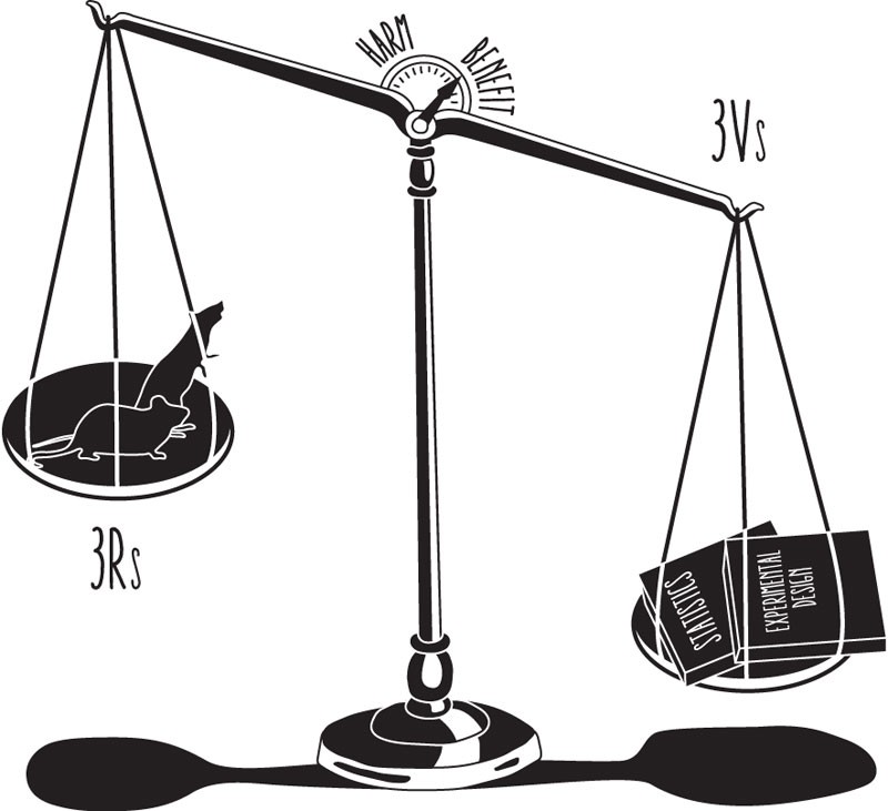 More than 3Rs: the importance of scientific validity for harm-benefit analysis of animal research | Lab Animal More than 3Rs: the importance of scientific validity for harm-benefit analysis of animal research | Lab Animal