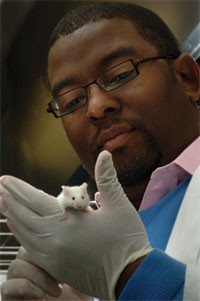 Diversity in the lab | Lab Animal