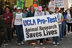Combating animal rights extremism | Lab Animal