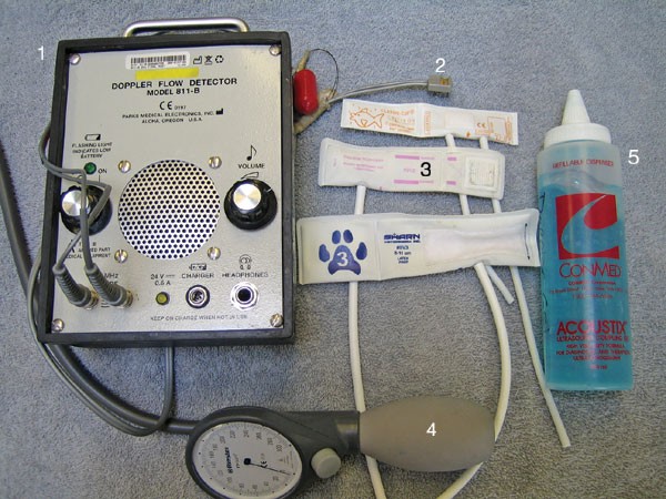 Indirect Blood Pressure Monitoring In Small Mammals Lab Animal