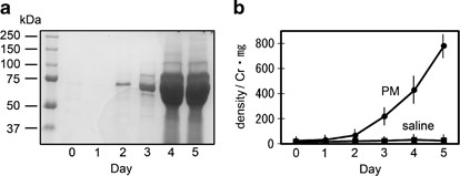 RETEN mTORC1 activation triggers the unfolded protein response in ... mTORC1 activation triggers the unfolded protein response in ... RETEN mTORC1 activation triggers the unfolded protein response in ... mTORC1 activation triggers the unfolded protein response in ...