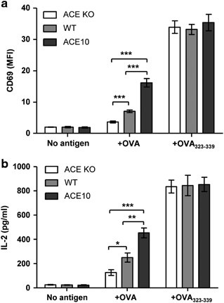 Angiotensin Converting Enzyme Affects The Presentation Of Mhc Class Ii Antigens Laboratory Investigation
