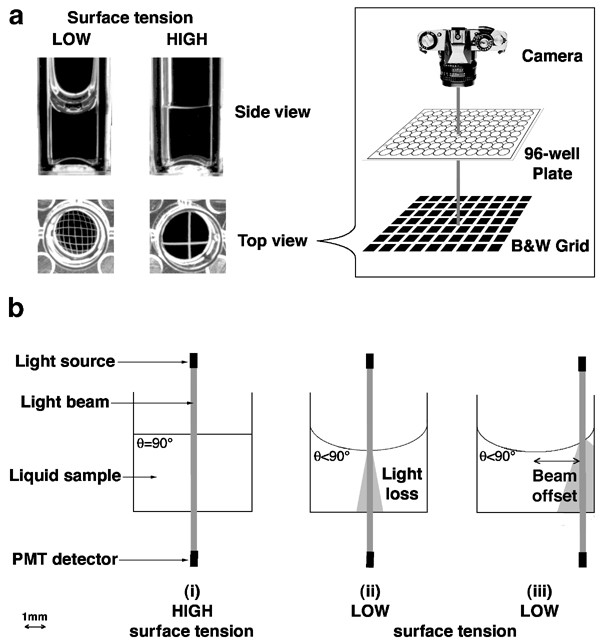 AMT - Utilizing an electrical low-pressure impactor to indirectly probe  water uptake via particle bounce measurements