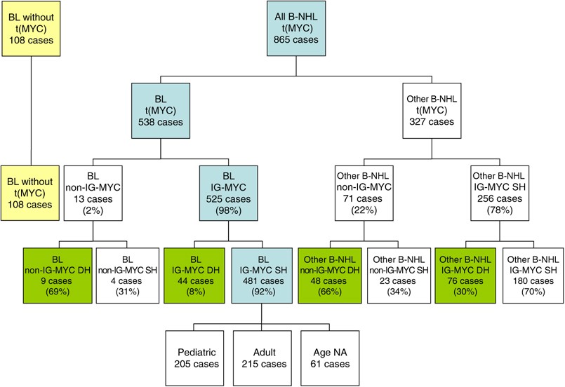 Lymphoma Classification Chart