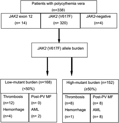 A prospective study of 338 patients with polycythemia vera: the impact of  JAK2 (V617F) allele burden and leukocytosis on fibrotic or leukemic disease  transformation and vascular complications | Leukemia