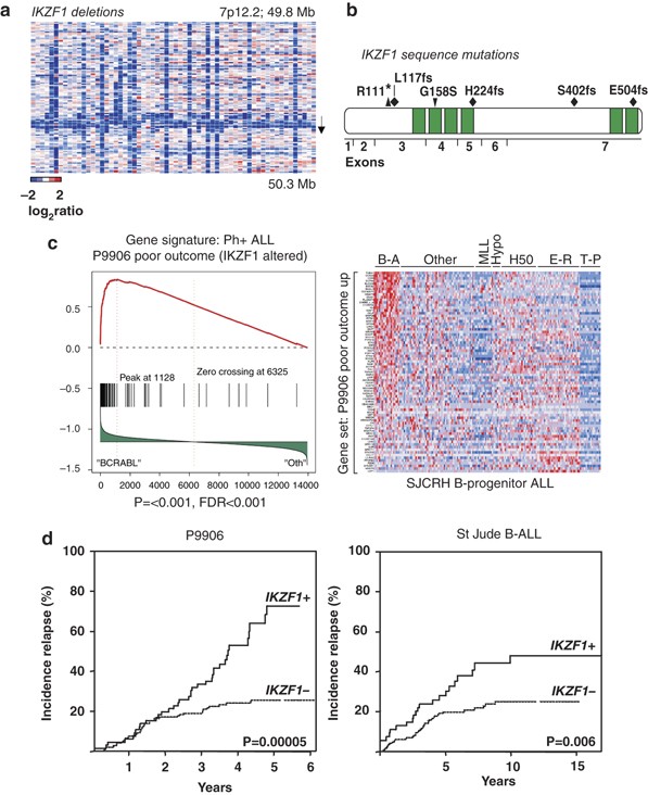 Genomic Profiling Of High Risk Acute Lymphoblastic Leukemia Leukemia