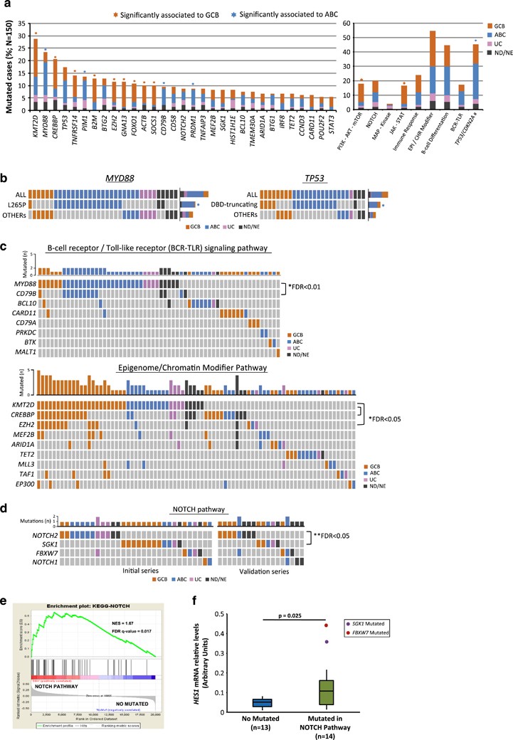 Integrating Genomic Alterations In Diffuse Large B Cell Lymphoma Identifies New Relevant Pathways And Potential Therapeutic Targets Leukemia