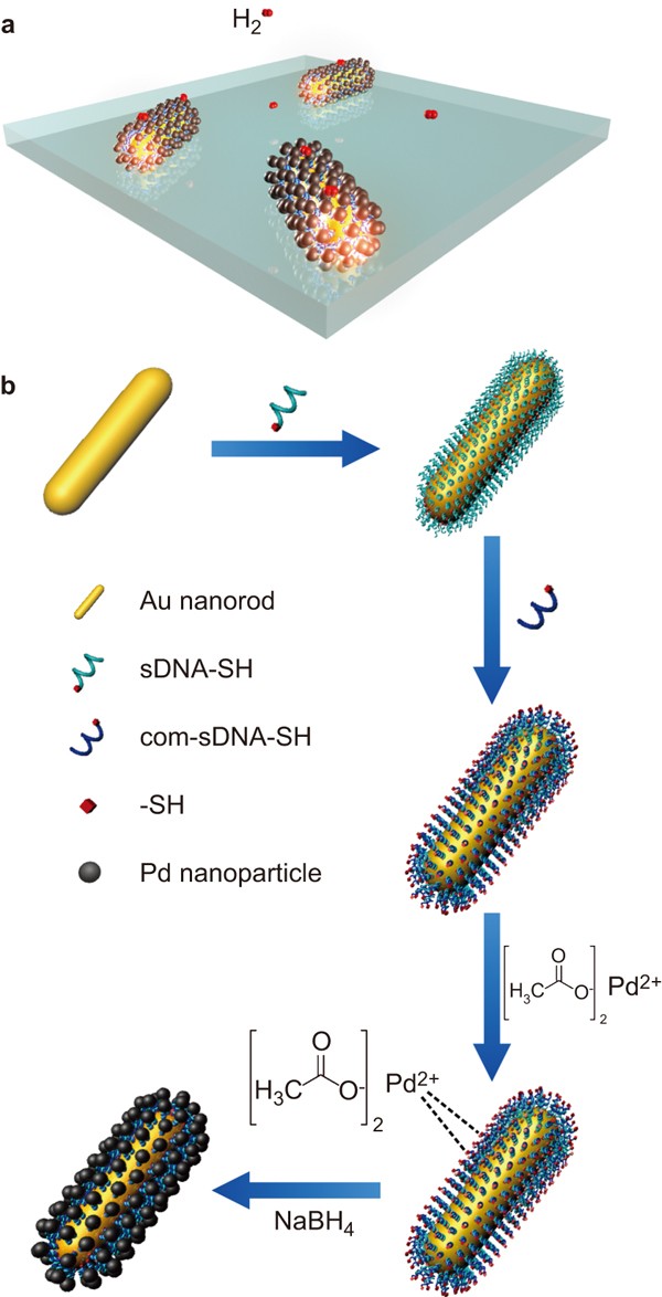DNA-assembled bimetallic plasmonic nanosensors | Light: Science &  Applications
