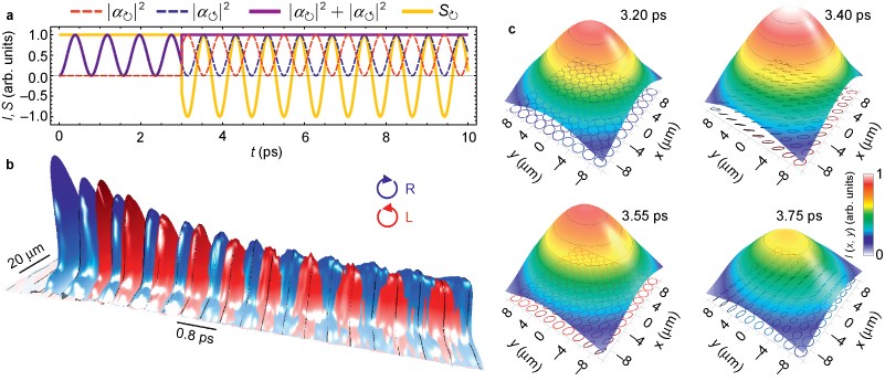 Polarization shaping Poincaré beams by polariton | Light: Science & Applications