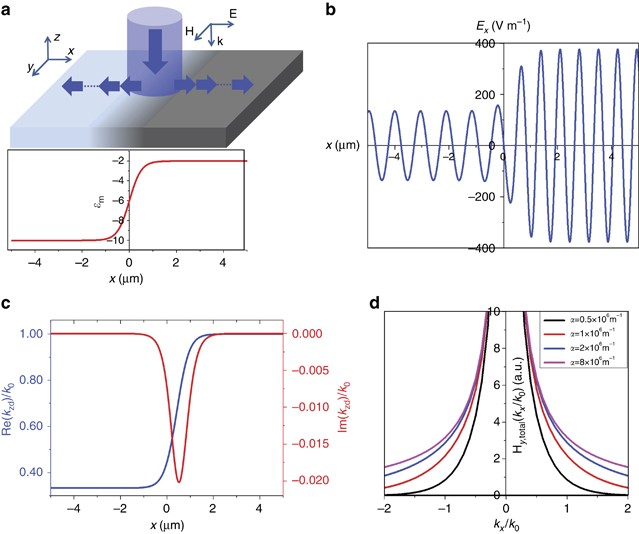 Excitation And Propagation Of Surface Plasmon Polaritons On A Non