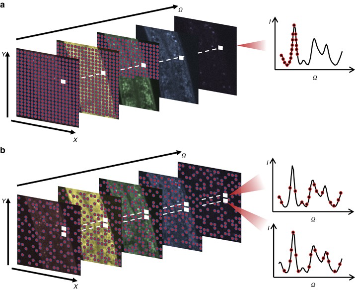 Spectroscopic Stimulated Raman Tering Imaging Of Highly Stimulated Raman Tering Imaging