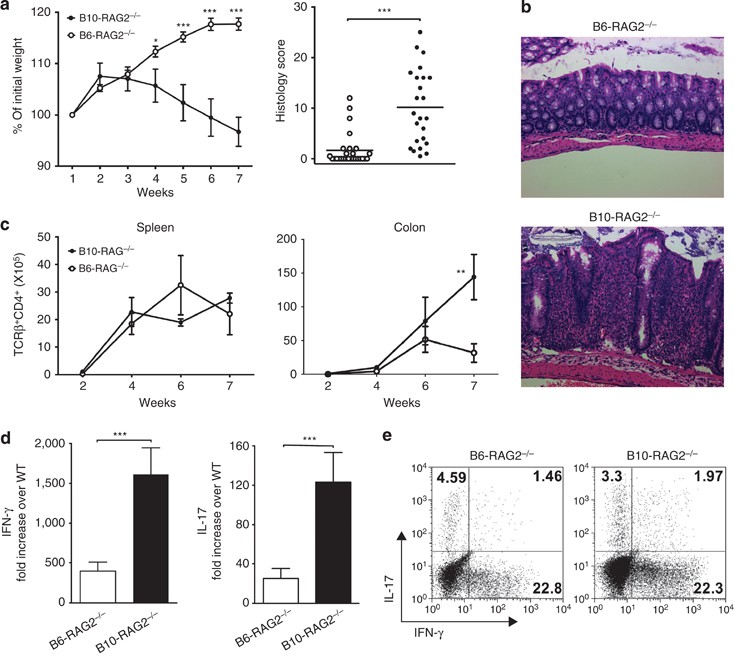 RORα is critical for mTORC1 activity in T cell-mediated colitis -  ScienceDirect