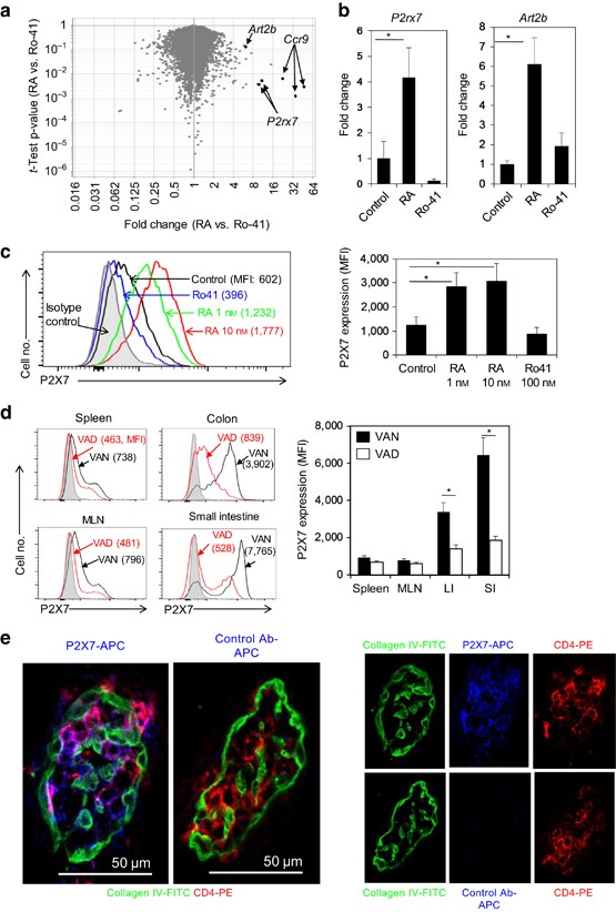 Contraction Of Intestinal Effector T Cells By Retinoic Acid Induced Purinergic Receptor P2x7 Mucosal Immunology