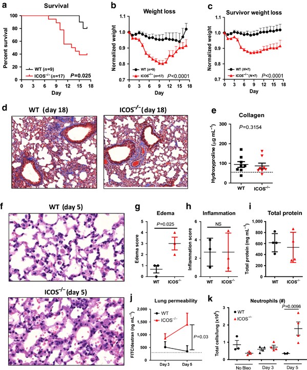 ICOS protects against mortality from acute lung injury through activation  of IL-5+ ILC2s | Mucosal Immunology