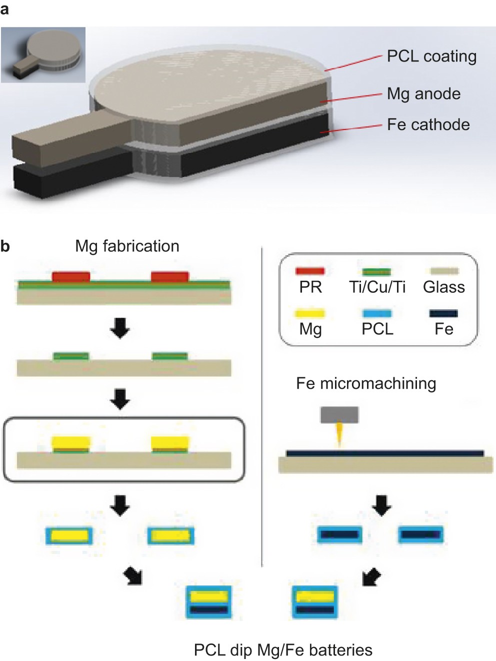 Biodegradable magnesium/iron batteries with polycaprolactone encapsulation:  A microfabricated power source for transient implantable devices |  Microsystems & Nanoengineering