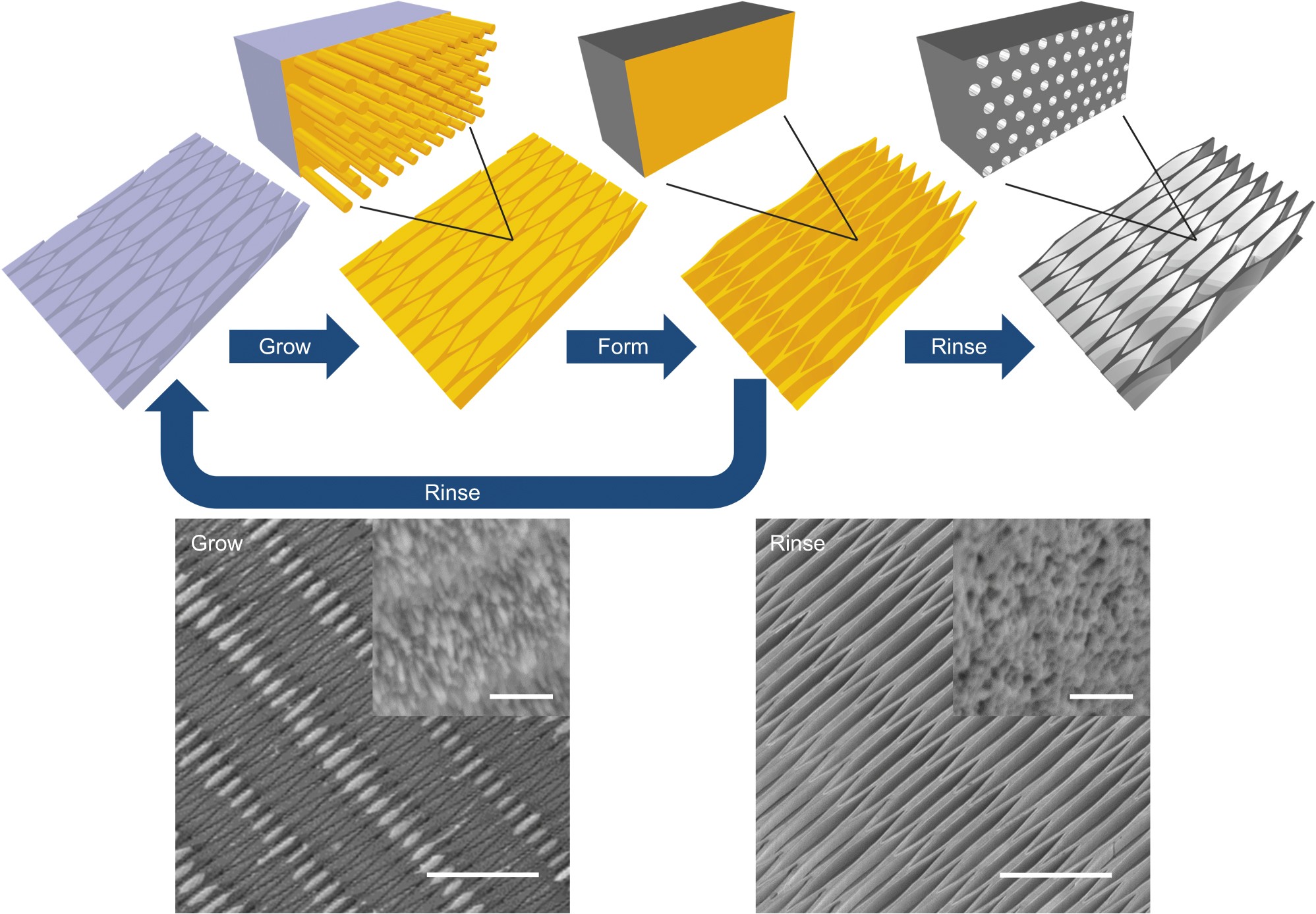 Multilevel Hierarchical Topographies by Combined Photolithography and  Nanoimprinting Processes To Create Surfaces with Controlled Wetting