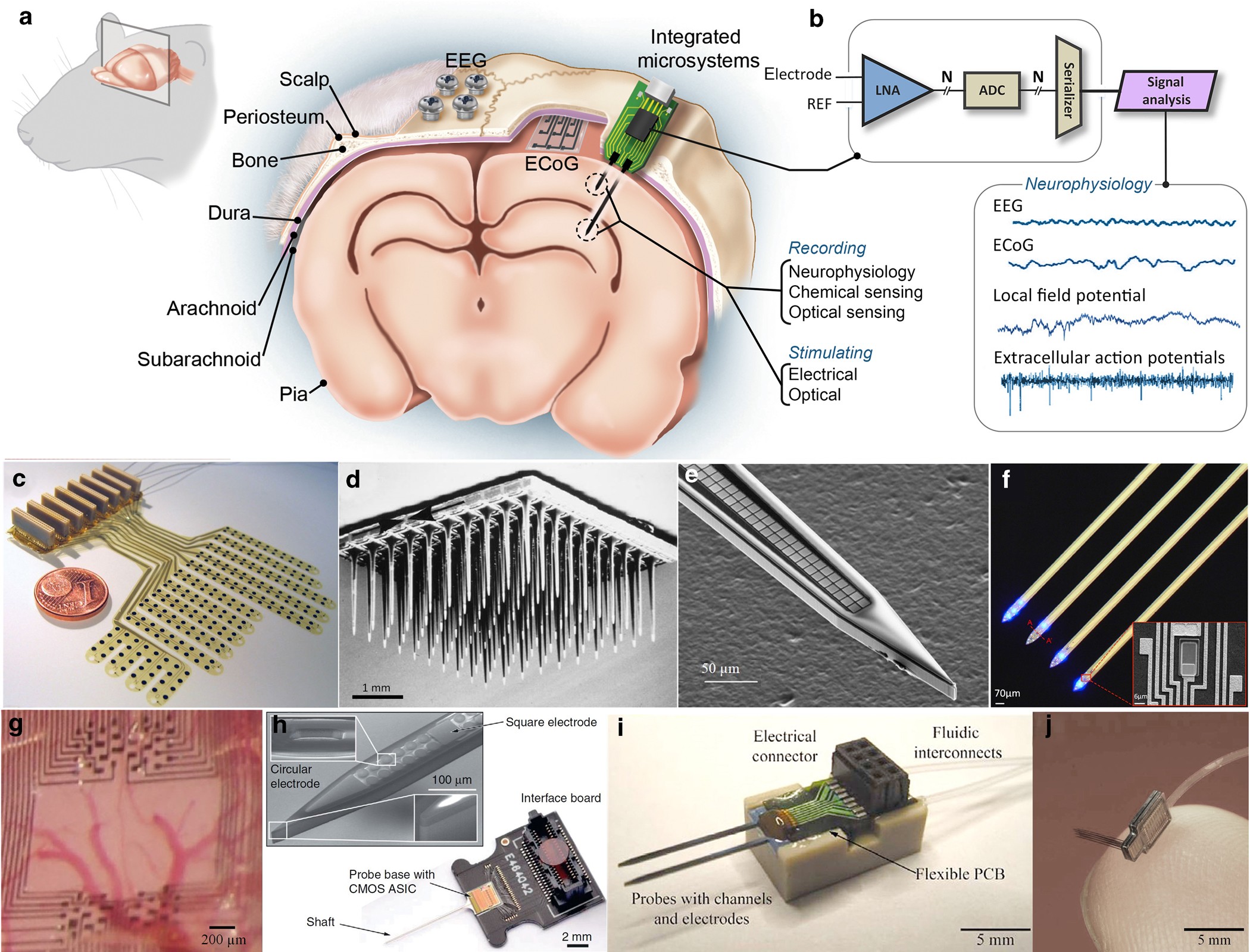 Materials Chemistry of Neural Interface Technologies and Recent