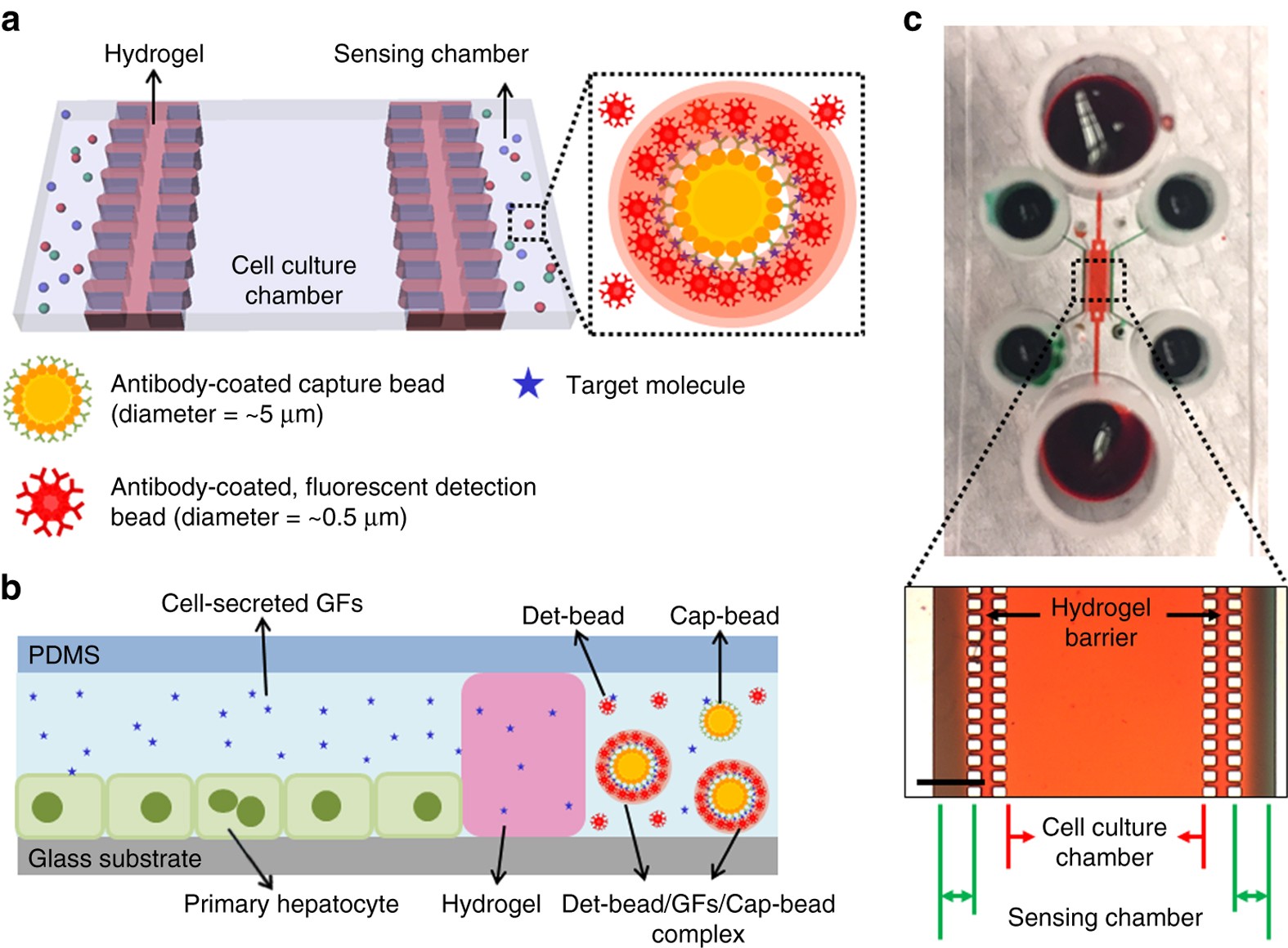 Detecting cell-secreted growth factors in microfluidic devices using  bead-based biosensors | Microsystems & Nanoengineering