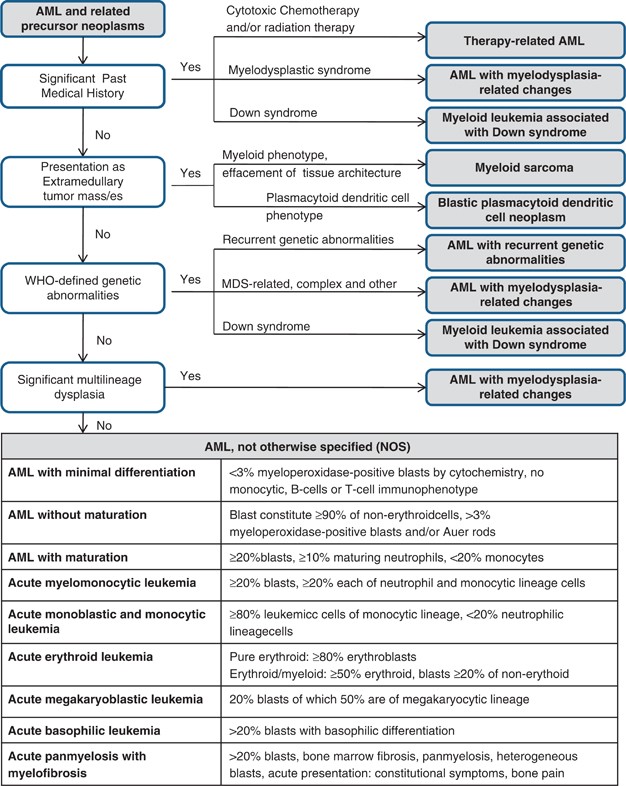Tdt Expression In Acute Myeloid Leukemia With Minimal -