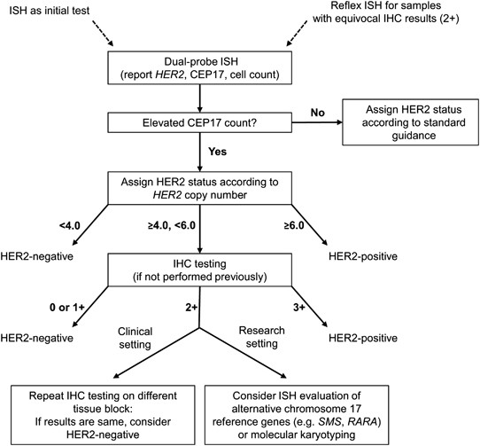 Her2 In Situ Hybridization In Breast Cancer Clinical Implications Of Polysomy 17 And Genetic Heterogeneity Modern Pathology