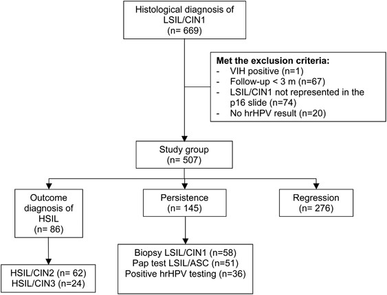 p16 staining has limited value in predicting the outcome of histological  low-grade squamous intraepithelial lesions of the cervix | Modern Pathology