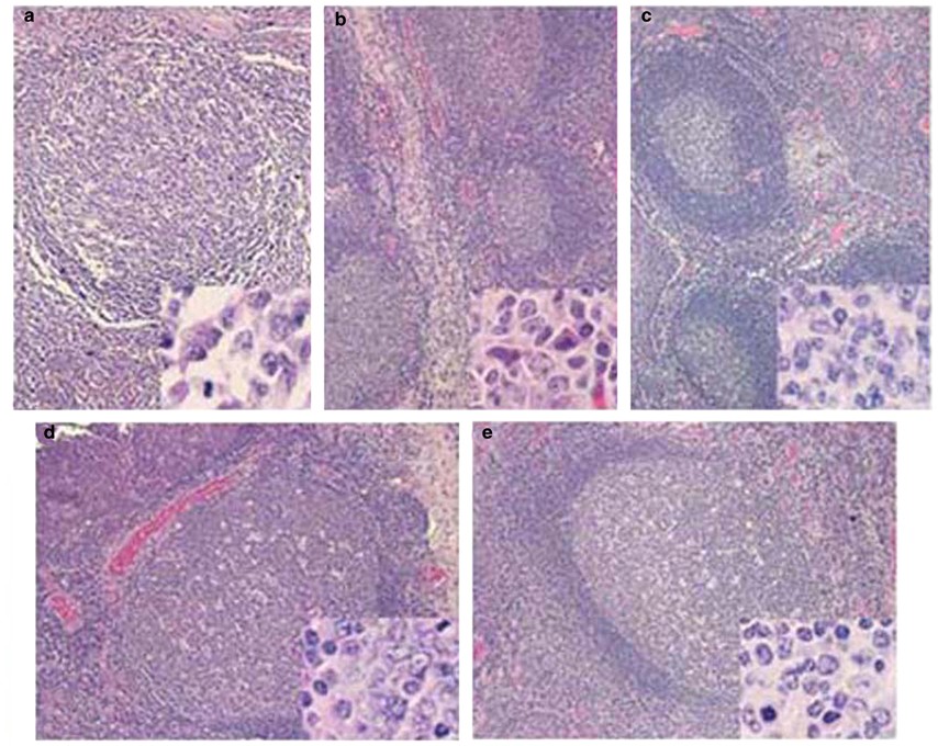 Epredia Shandon Cell-Fixx Spray Fixative:Histology and Cytology, Quantity
