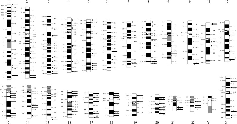 The genetics of bipolar disorder: genome 'hot regions,' genes, new  potential candidates and future directions | Molecular Psychiatry